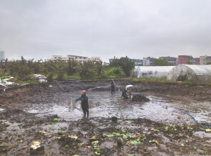 掇刀河道鱼塘清淤
